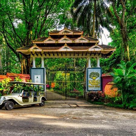 Kairali - The Ayurvedic Healing Village Palakkad Kültér fotó