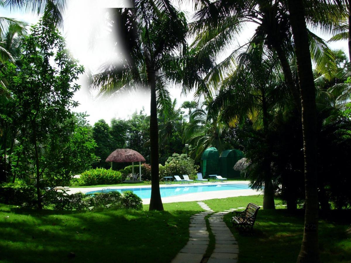 Kairali - The Ayurvedic Healing Village Palakkad Kültér fotó